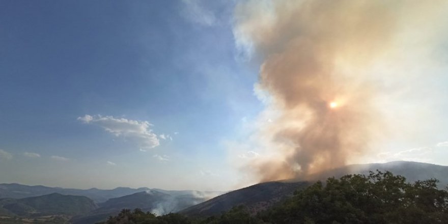 Dersim'de iki yeni yangın