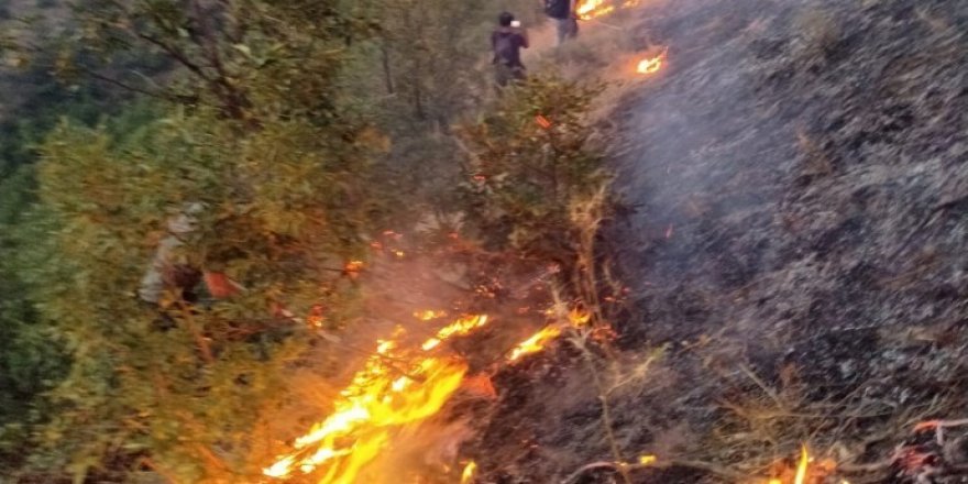 Munzur Vadisi’ndeki yangın yayılıyor