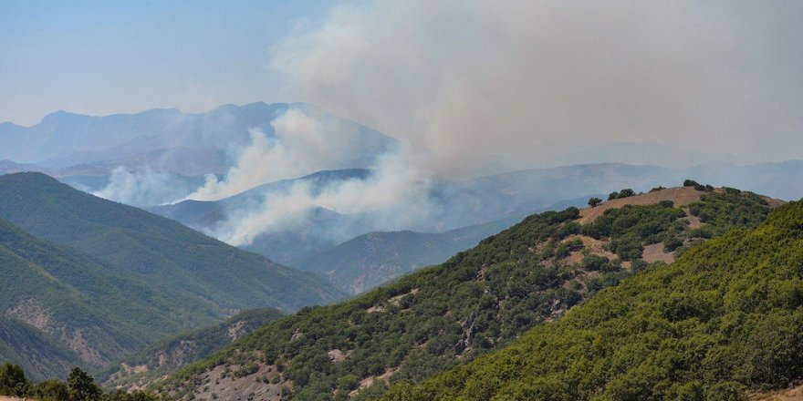Kürdistan'ın 4 ilinde ormanlar yanıyor: Müdahale yok