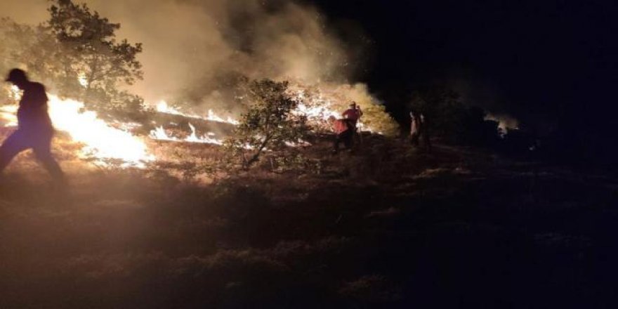 Bingöl’deki yangın yerleşim yerlerine yaklaştı