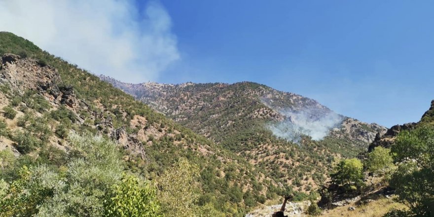 Roj Deresi’nde orman yangını 6 gündür devam ediyor