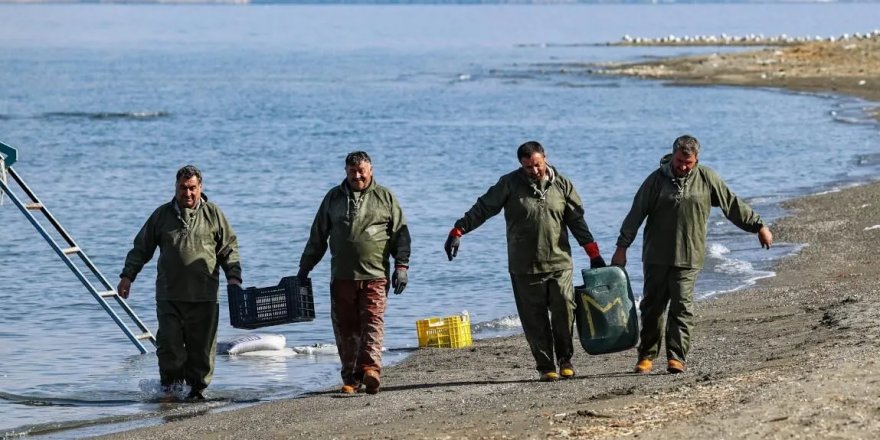 Balıkçı kardeşler 30 yıldır her sabah Van Gölü'ne açılıyor