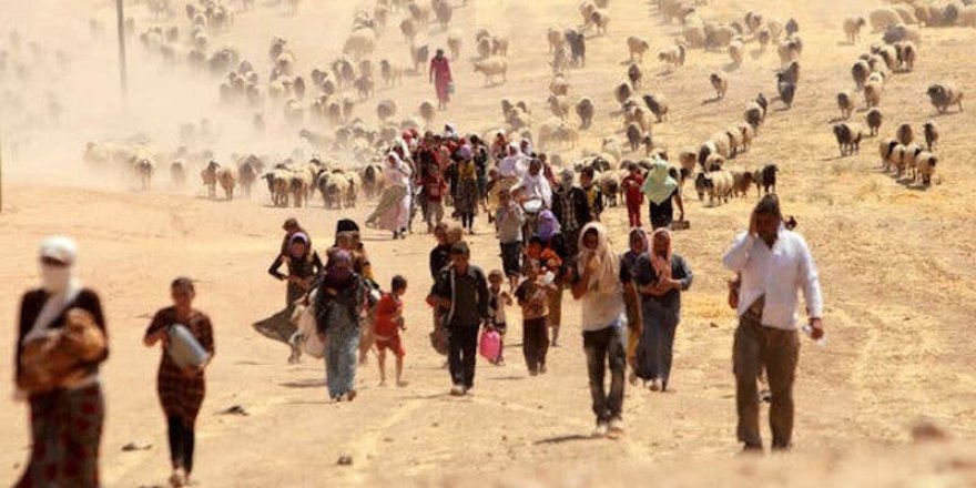 New York Times: 3 bin Ezidi hala kayıp, bir kısmı Türkiye'de esir