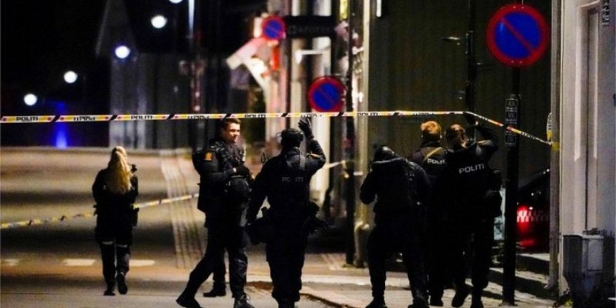 Norveç'te oklu saldırı: 5 ölü