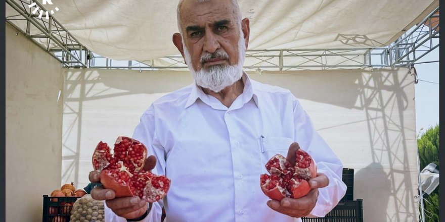 Elma korkusundan nar sevgisine: 7’inci Halepçe Nar Festivali