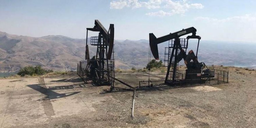 Mardin, Siirt, Şırnak ve Hakkari'de 2 şirkete petrol arama ruhsatı