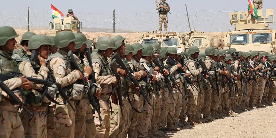 Koalisyon, Peşmerge subaylarına yurtdışında eğitim verecek!