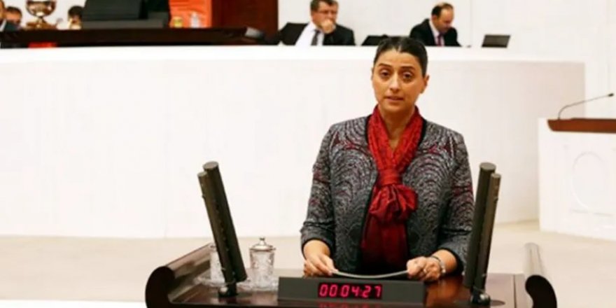 HDP'li Feleknas Uca'ya 'Kürdistan' fezlekesi