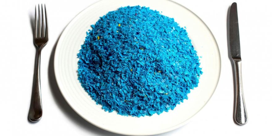 İnsan kanında "son derece endişe verici" keşif: "Her 10 kişiden 8'inde plastik bulundu"