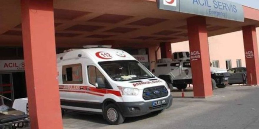 Şırnak'ta 2 çoban silahla vurulmuş halde ölü bulundu