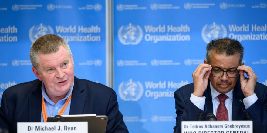 WHO Ukrayna'da Savaş Suçu Kanıtı Arıyor