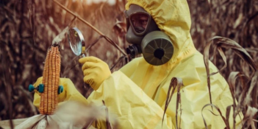 Avrupa’nın geri gönderdiği zehirli gıdalar kimin sofrasında?