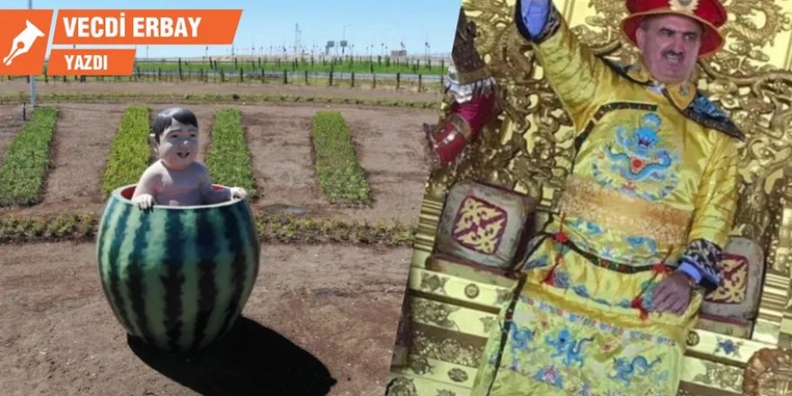 Bir kayyım neden değiştirilir?