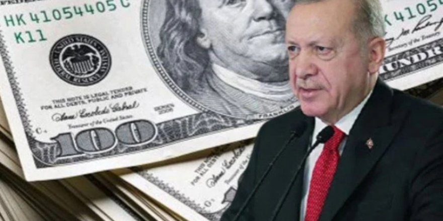 Dolar, Erdoğan'ın açıklamalarının ardından yılın en yüksek seviyesine çıktı