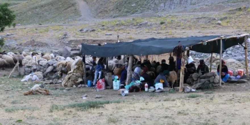 Mazot fiyatları bêrîvanları da vurdu: Kilometrelerce yürüyorlar