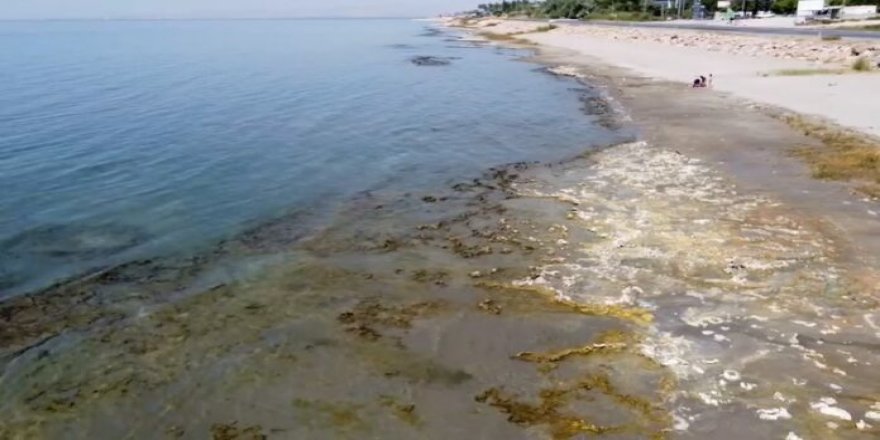 Yoğun kar yağışıyla gelen ‘kurtuldu’ sevinci uzun sürmedi, Van Gölü kurumaya devam ediyor