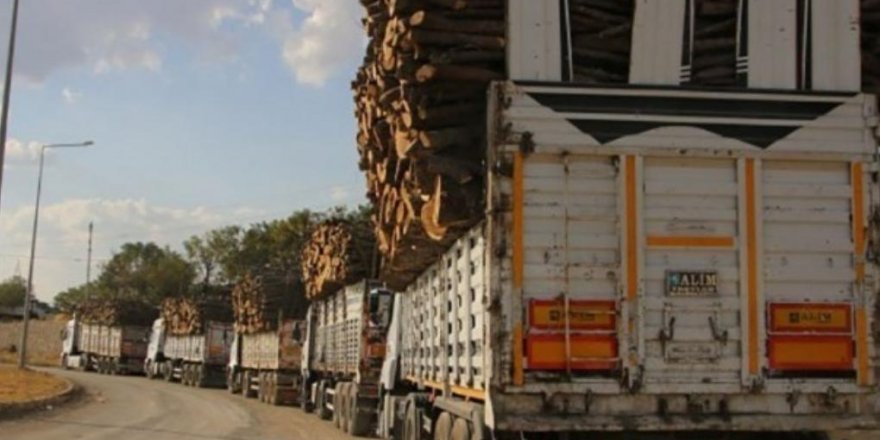 Ağaç kesimleri ile ilgili Şırnak’ın üç milletvekili de dinlenmiyor