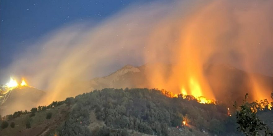 Dersim’de Torunoba bölgesinde orman yangını devam ediyor