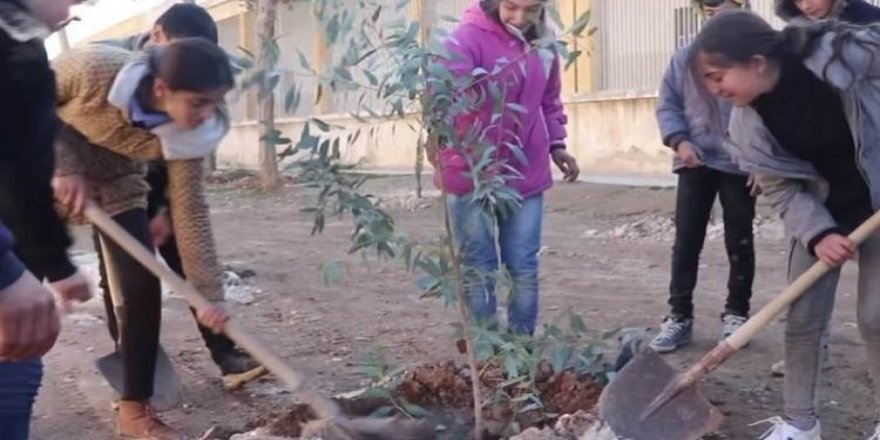 Kobane'de 40,000 ağaç dikme kampanyası başlatıldı