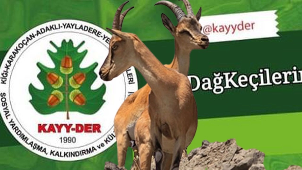 Bingöl’de 'dağ keçisi' katliamına onay