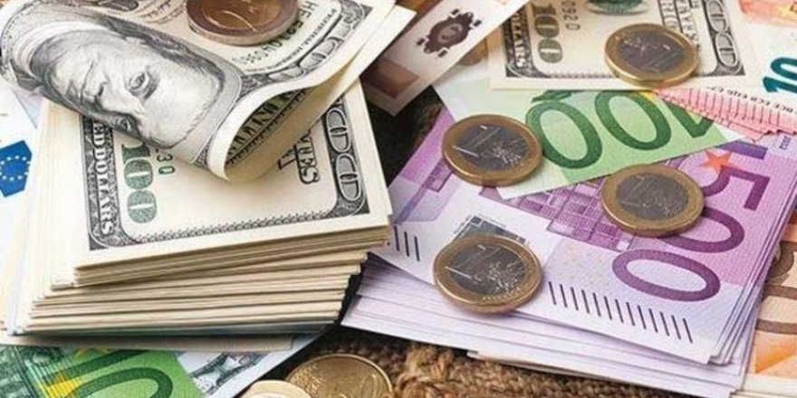 Dolar 20, Euro 22 TL'yi Aştı