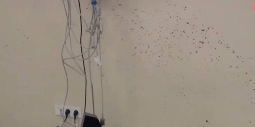 Şenyaşar ailesine saldırının olay yeri inceleme görüntüleri; duvarda kan ve mermi izleri