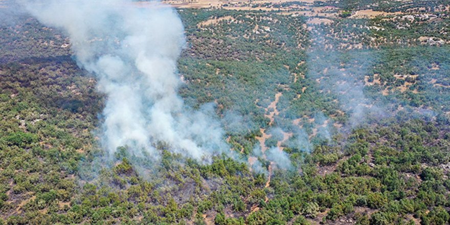 Diyarbakır-Lice’deki orman yangını söndürüldü