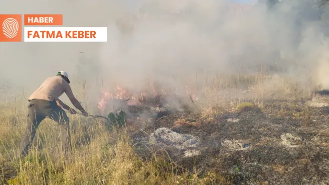 Bingöl'deki yangın 5 gündür devam ediyor: 'Havadan müdahale lazım'