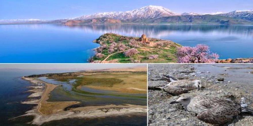 Çimento fabrikasının atıkları Van Gölü’ne bırakılıyor!