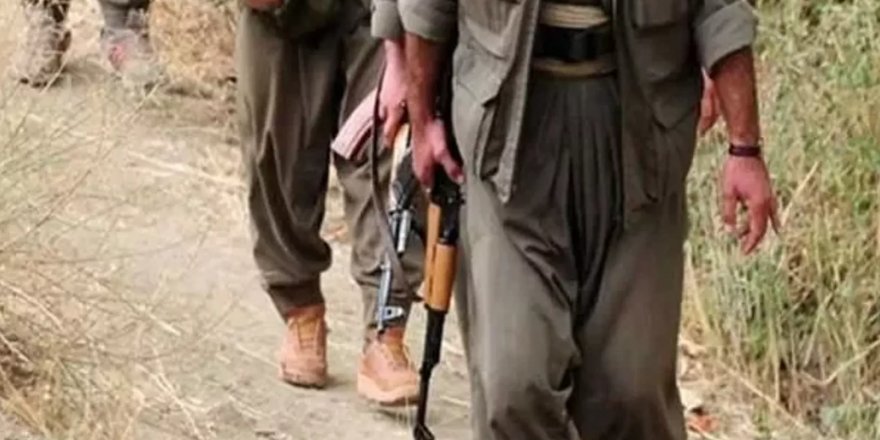 Altan Tan: Kandil'in "müjdesi" savaş!