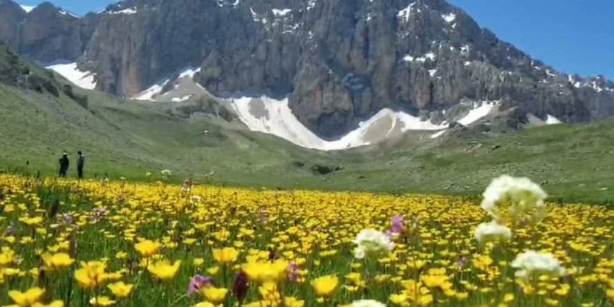 Dersim’in doğası tehdit altında