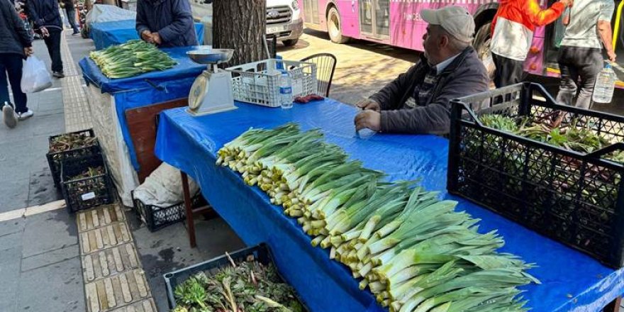 Dersim'de şifalı otlar tezgahlardaki yerini aldı