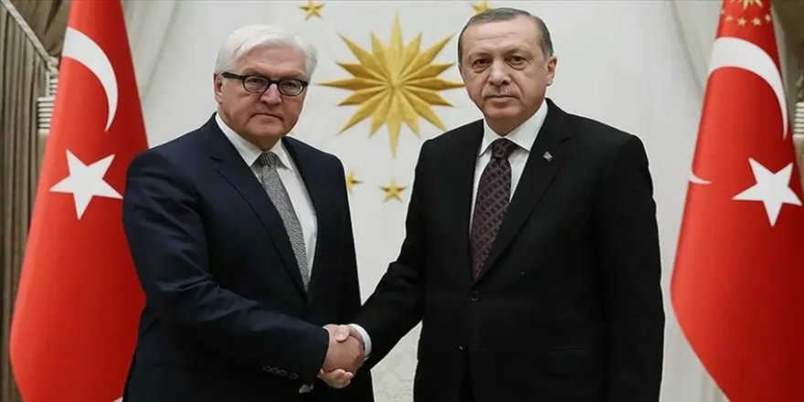 Almanya'da Steinmeier'e 'Erdoğan ile açık konuş' çağrısı!