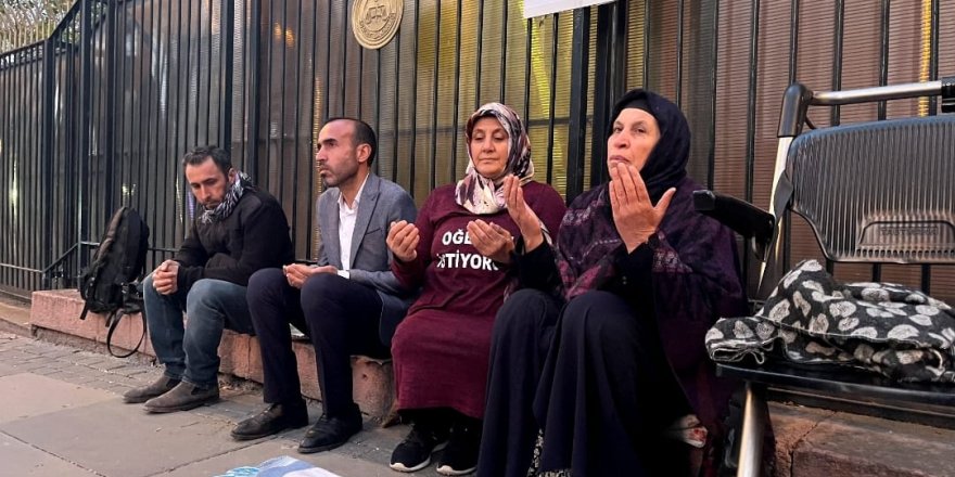 Emine Şenyaşar'a ‘Erdoğan'a hakaretten’ dava