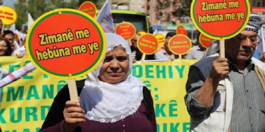 Mehmet S. Kaya: Kürtlerin varoluş mücadelesi yasakları değersiz hale getirdi