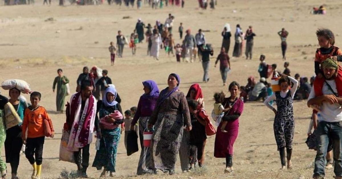 IŞİD'li kadınlar soruşturulmuyor, tutsak Ezidiler kurtarılmıyor