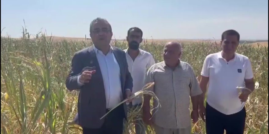 Tanrıkulu: DEDAŞ Diyarbakır’daki çiftçilere zulüm ediyor