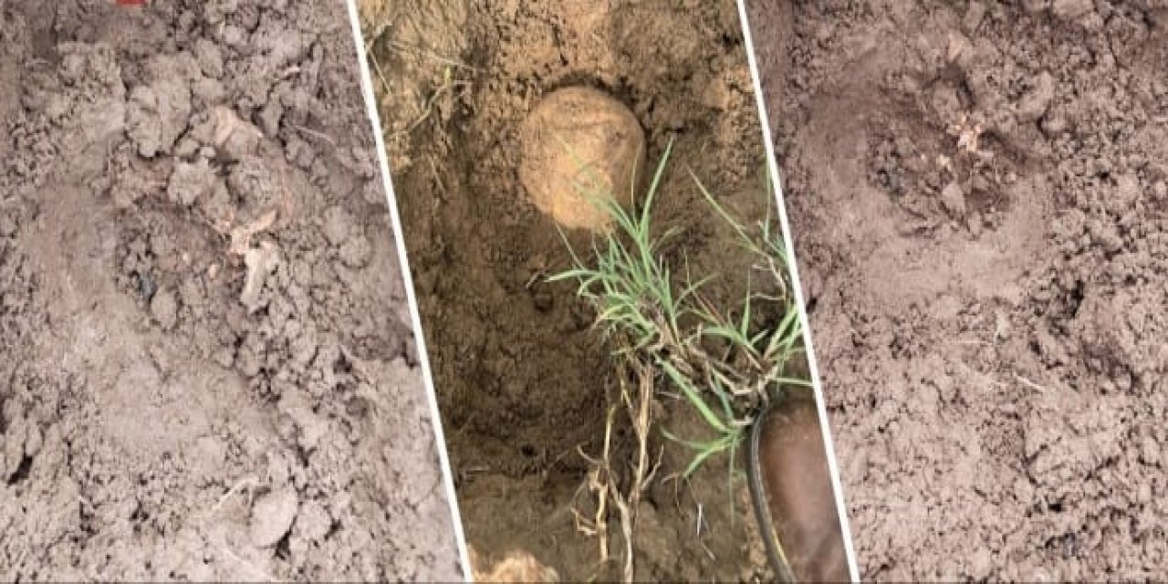 Diyarbakır Lice'de insan kemikleri bulundu