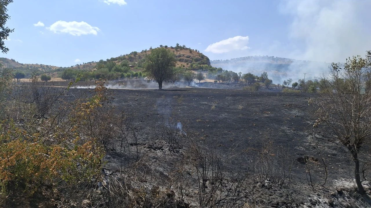 Diyarbakır kırsalında yangın: Bağ ve bahçeler kül oldu