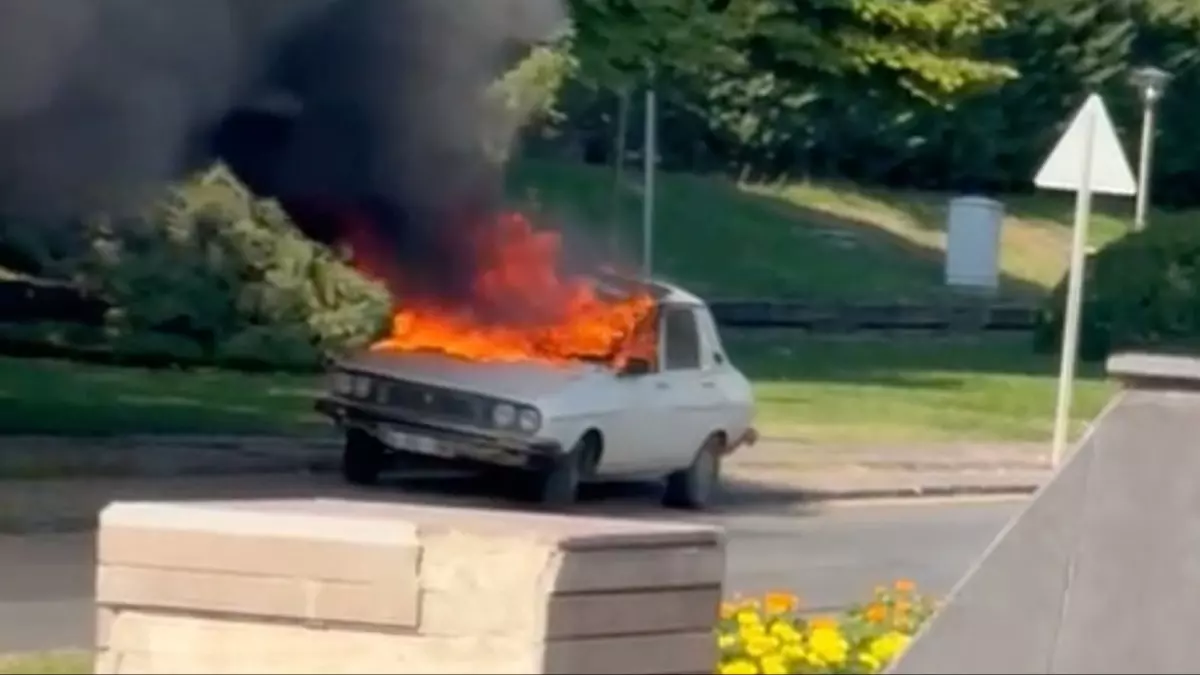 Komisyon toplantısı öncesi Meclis önünde beyaz toros paniği