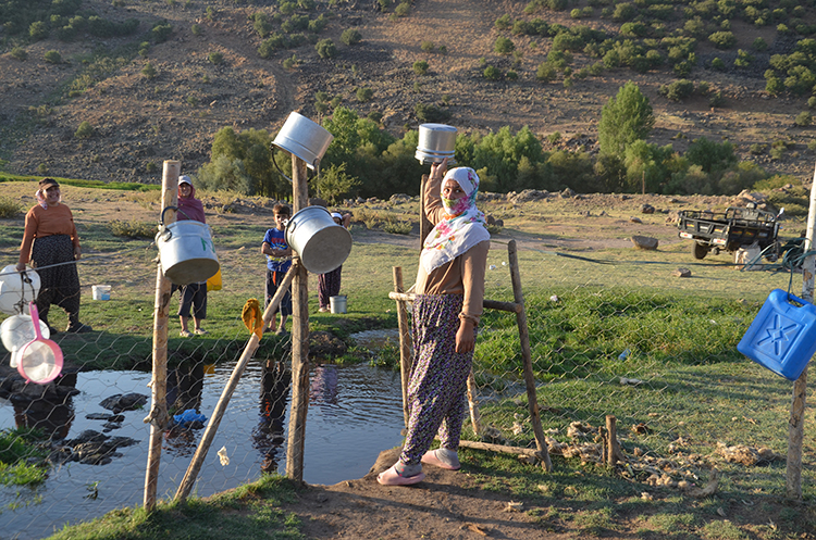 "Berivanlar" motosikletle süt sağmaya gidiyor