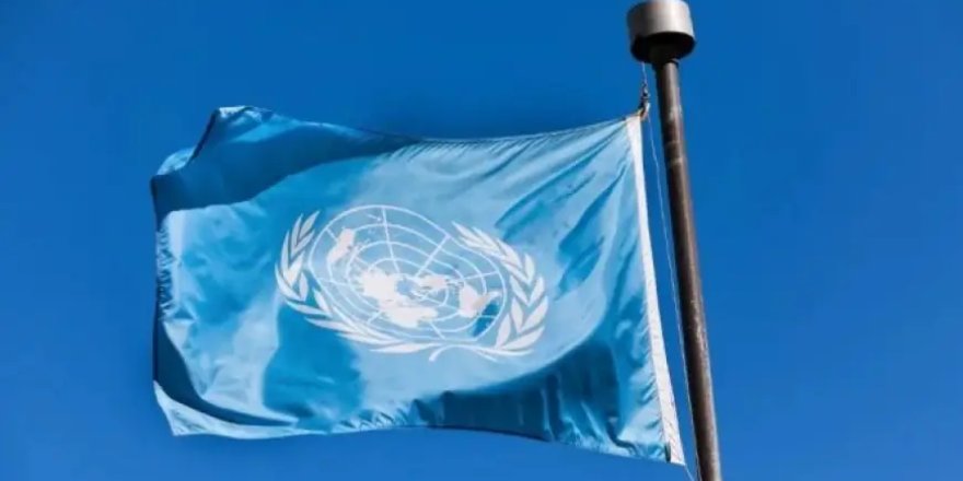 BM Raportörlerinden Türkiye’ye uyarı: 'Kürtlere yönelik süreklilik gösteren ayrımcılık iddiaları endişe verici'