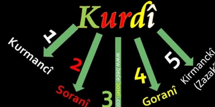 Kamal Soleimani: Kendimi ders kitaplarının dışında tanıdım; çünkü milletim orada çoktan silinmişti