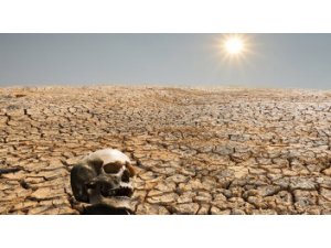 Dünya'da 6. büyük kitlesel yok oluş başladı