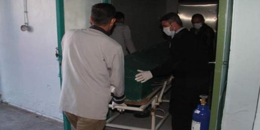 Van'da 6 erkek cesedi bulundu