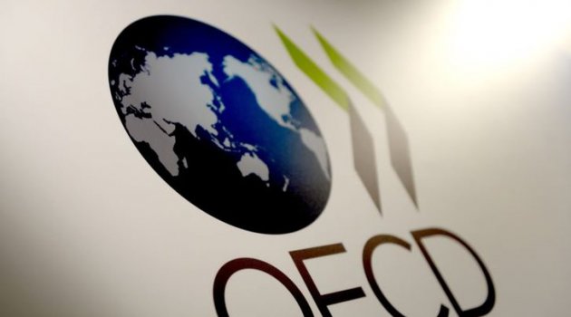 OECD: Türkiye'de ekonomisi 2019'da yüzde 2.6 küçülecek
