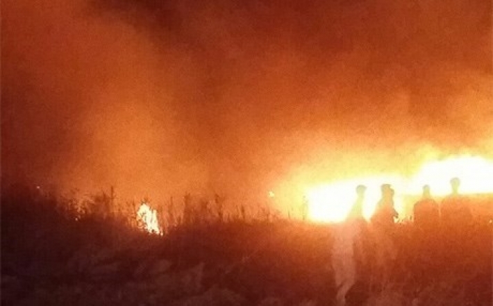 Kerkük'te Kürtler'in tarlaları bir kez daha ateşe verildi