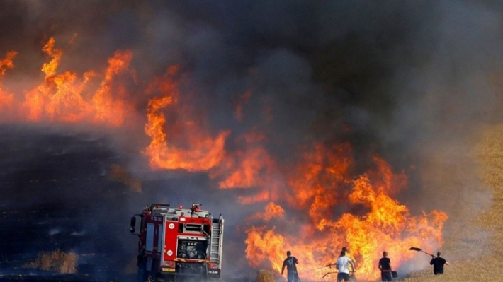 Germiyan’da da ekinler yakılıyor