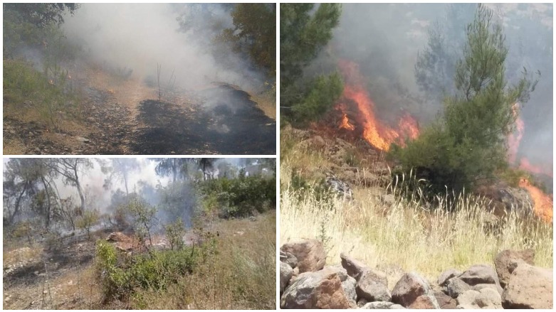 Efrin’in dağları ve ormanları ateşe veriliyor !