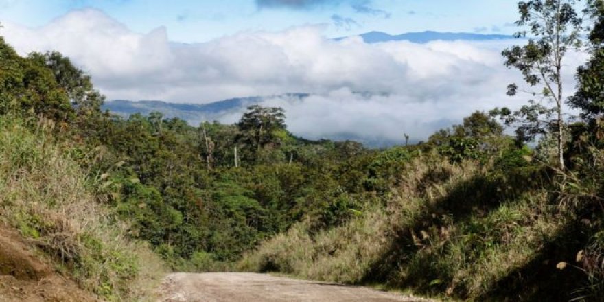 Papua Yeni Gine'de kabile katliamı: Onlarca kadın ve çocuk öldürüldü